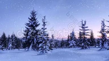 神秘的冬季景观雄伟的山脉在冬天。 神奇的冬雪覆盖树。 <strong>照片贺卡</strong>。 博克效应